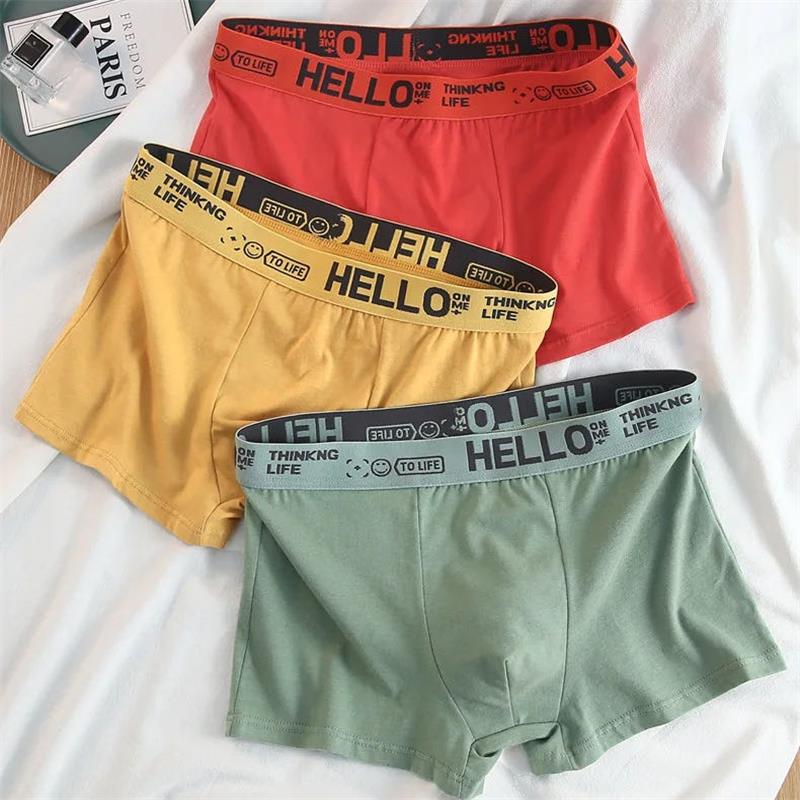 10 Buah/Pakaian Dalam Pria Cel - Boxer Brief Pack Cotton ulasan dan harga