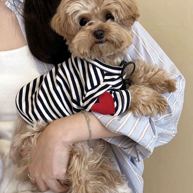 Rompi Anjing untuk Anjing Keci - Sleeveless Undershirt ulasan dan harga
