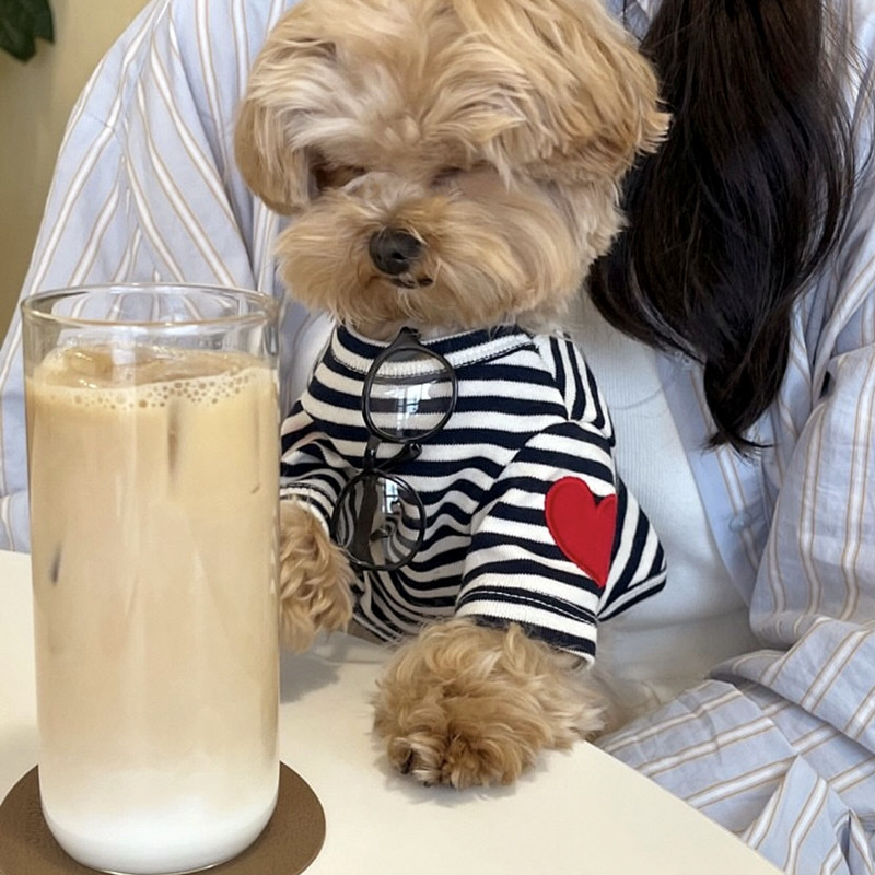 Rompi Anjing untuk Anjing Keci - Sleeveless Undershirt ulasan dan harga