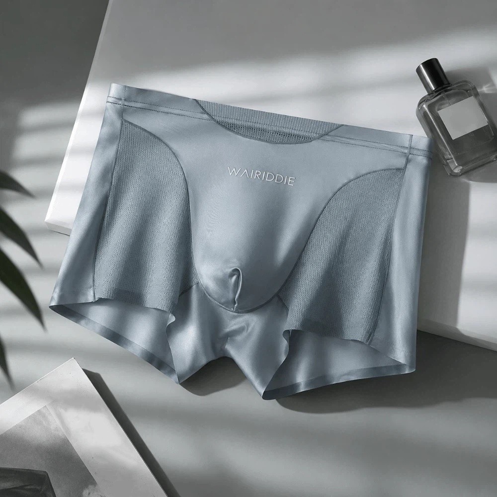 Celana Dalam Sutra Es Sederhan - Mesh Sport Boxer ulasan dan harga